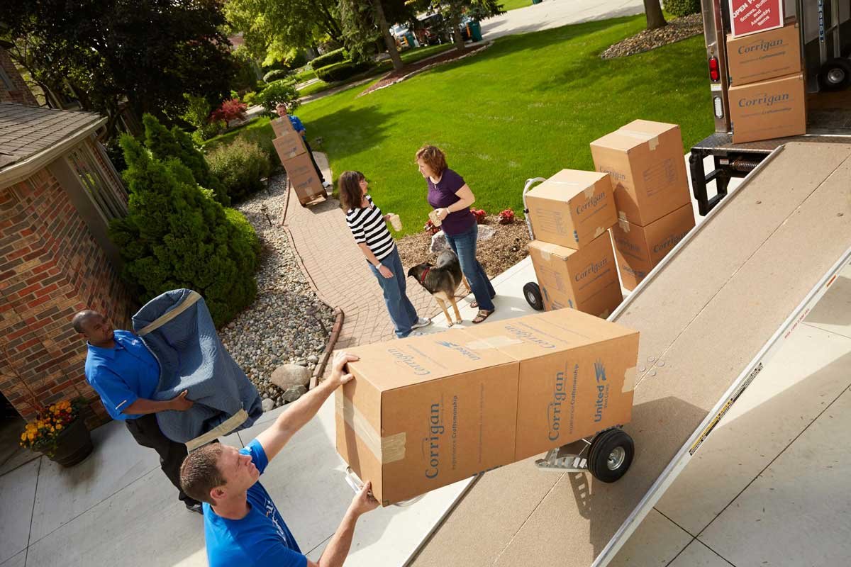 Selection of Professional Movers in Utah City Area