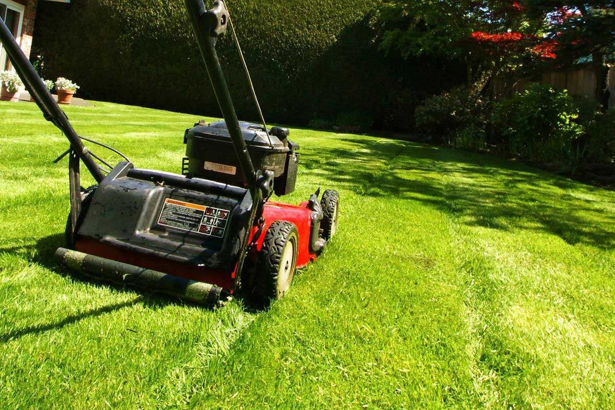 Mowers Cut Wet Grass