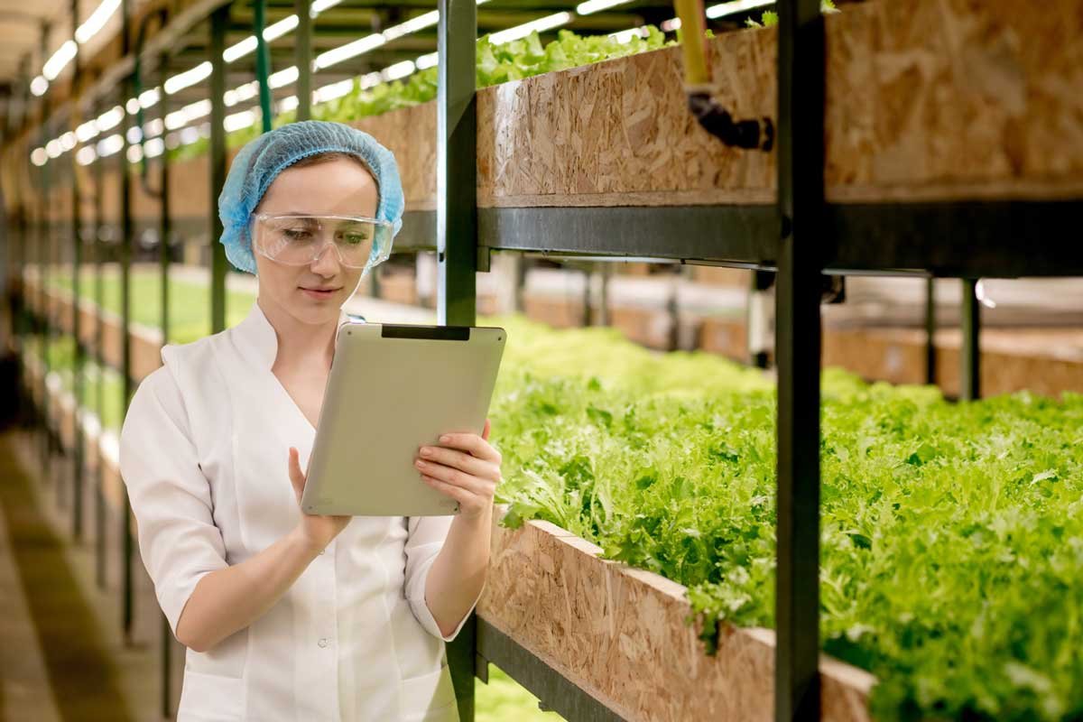 Hydroponic Vertical Garden