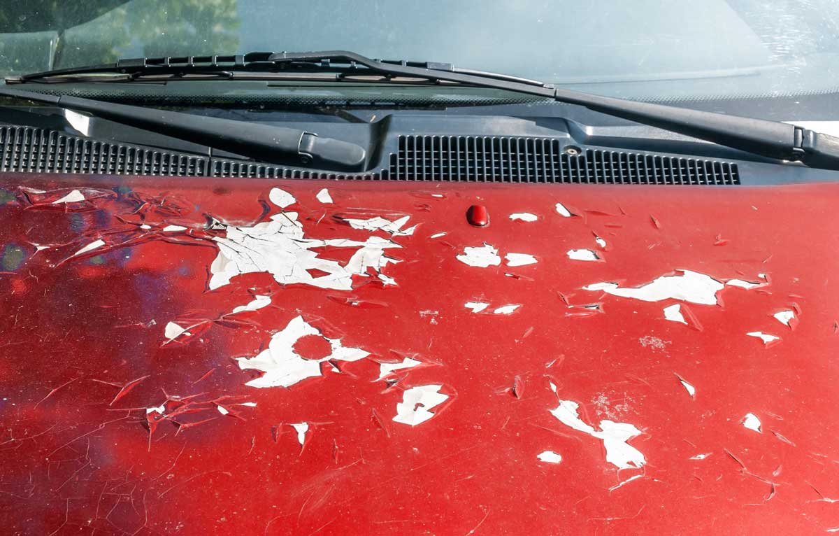 car Paint Damage