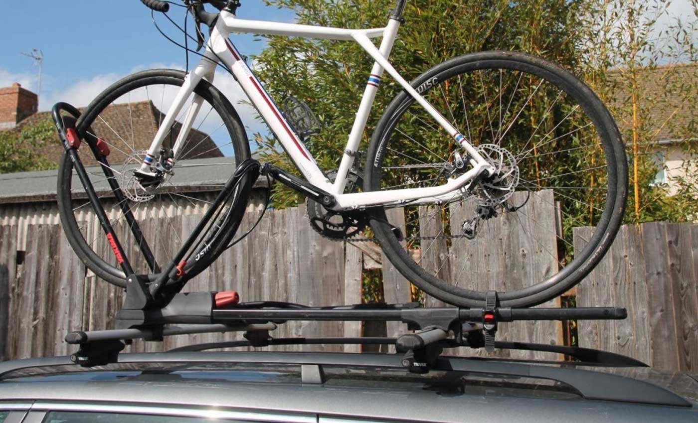 The Yakima Ridgeback