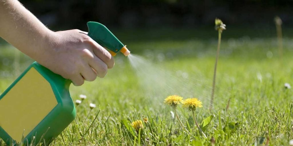 Top 5 Best Weed Killers for Garden & Lawn Top 5 Best Weed Killers for Garden & Lawn