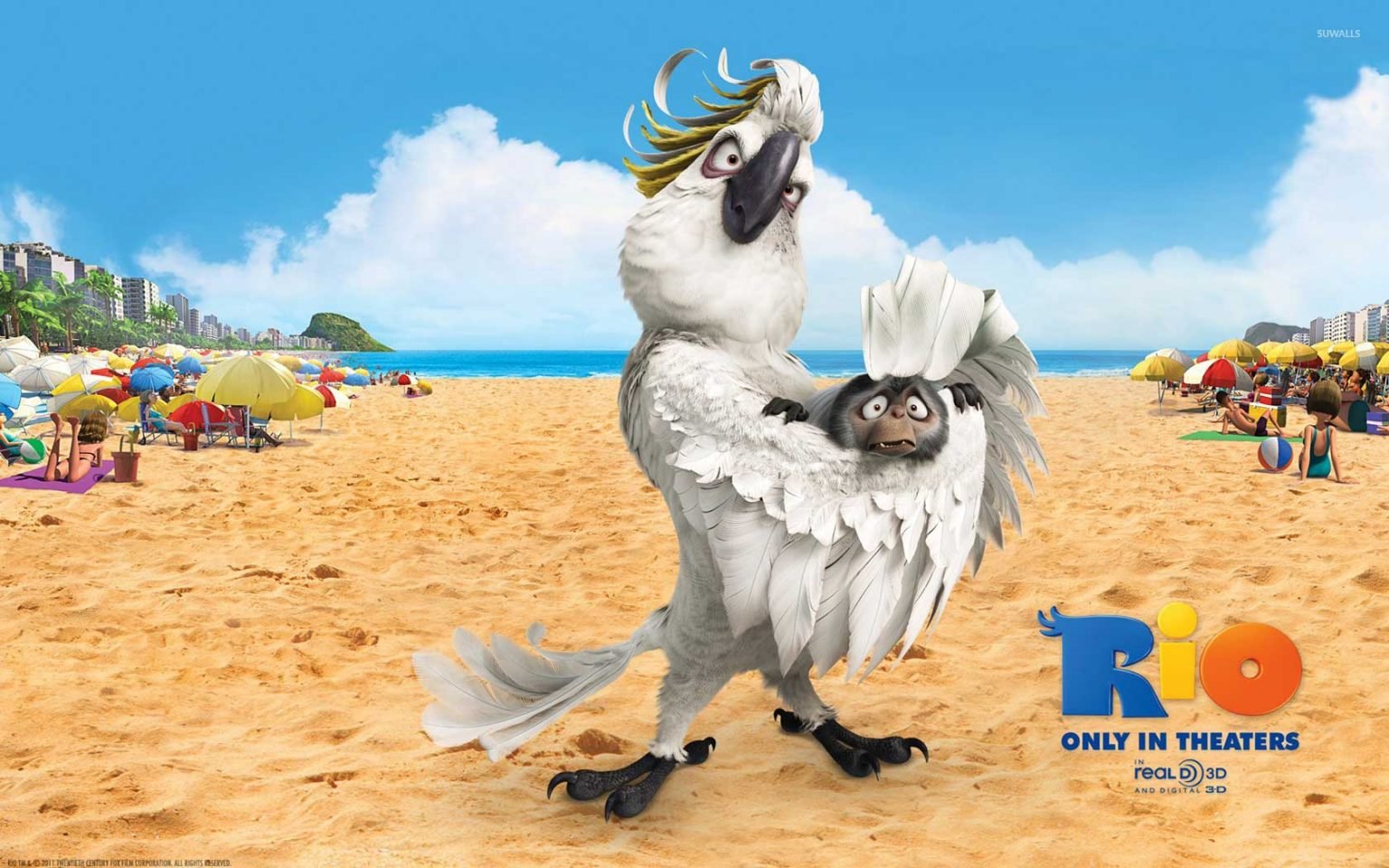 Rio 3