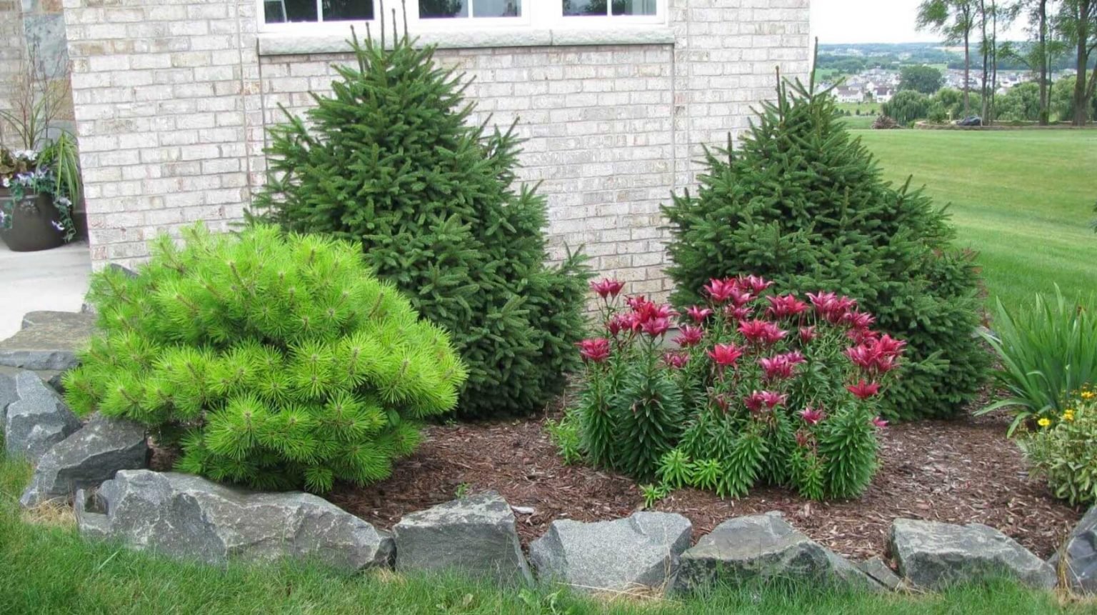 Organize Your Messy Lawn