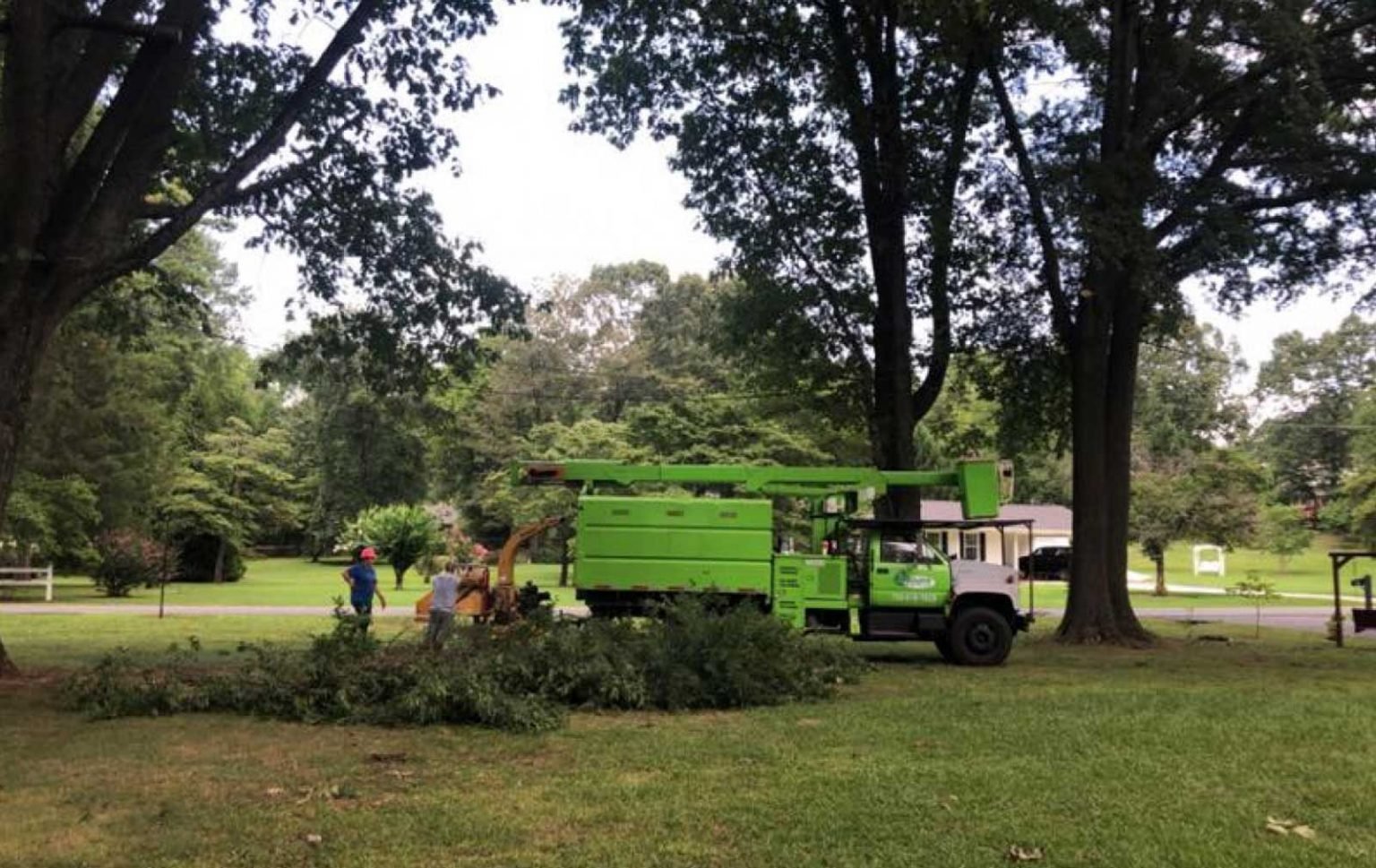 5 Benefits of Land Clearing in Garden Land Clearing in Garden