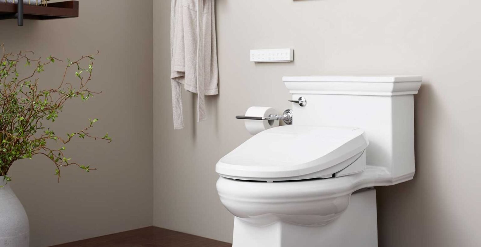 Why Opt for Bidet for Your Bathroom & How to Choose the Best One Opt for Bidet for Your Bathroom