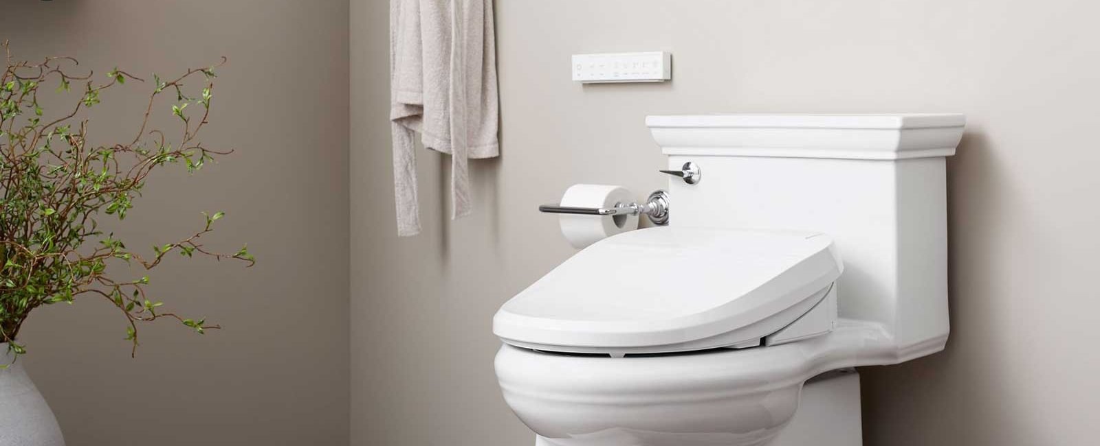 Opt for Bidet for Your Bathroom