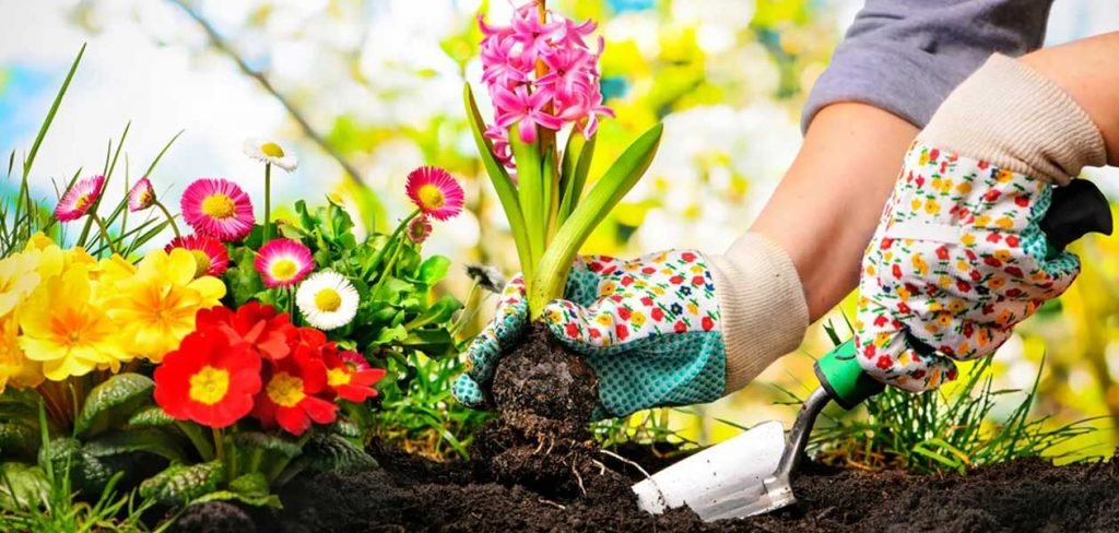 Making the Most of Your Garden This Spring Garden This Spring