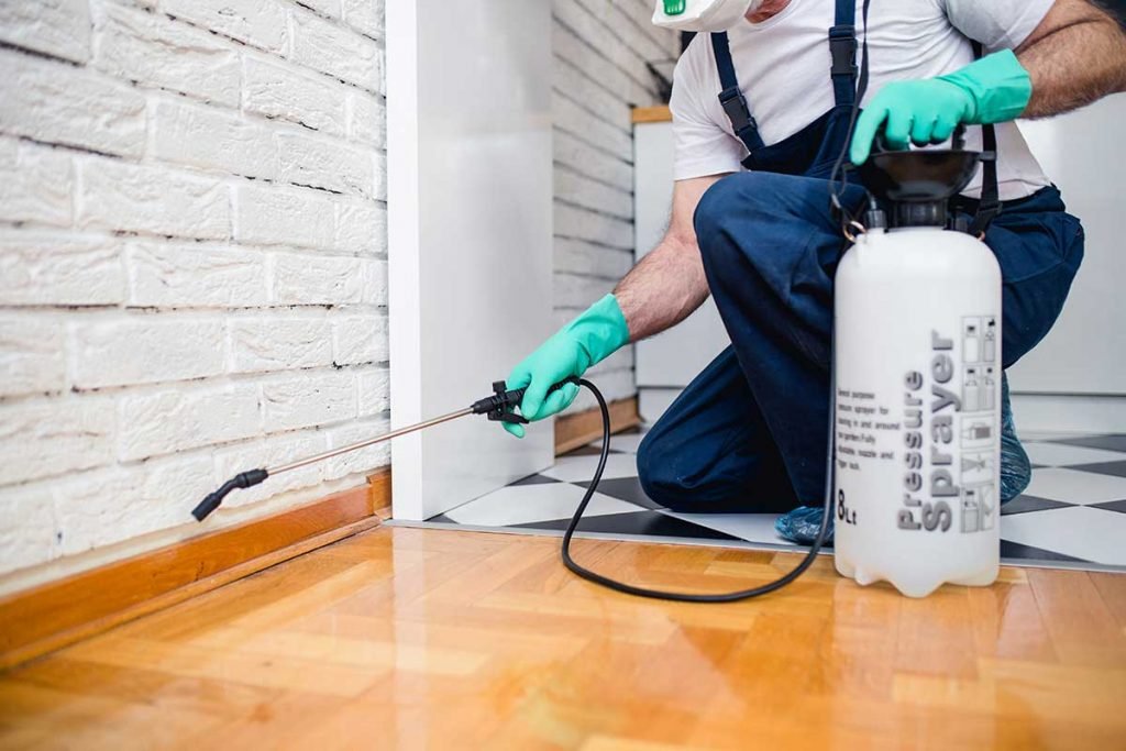 Top 3 Benefits Of Professional Pest Control To Help Rid Your Home Of Unwanted Bugs! Professional Pest Control