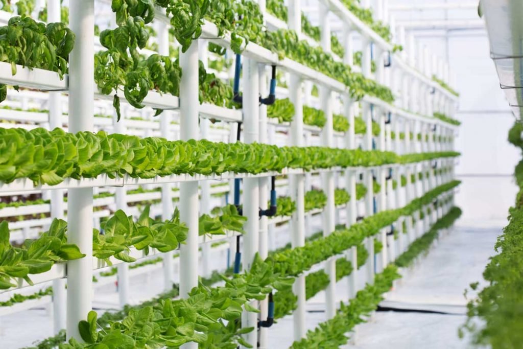 Tips To Setup A Hydroponic Vertical Garden at Your Home Vertical Garden