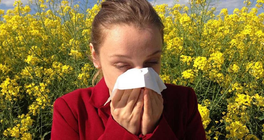 6 Natural remedies for Allergy Relief Natural remedies for Allergy Relief