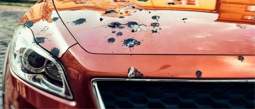 Most Common Paint Damage Reasons & How To Prevent Them