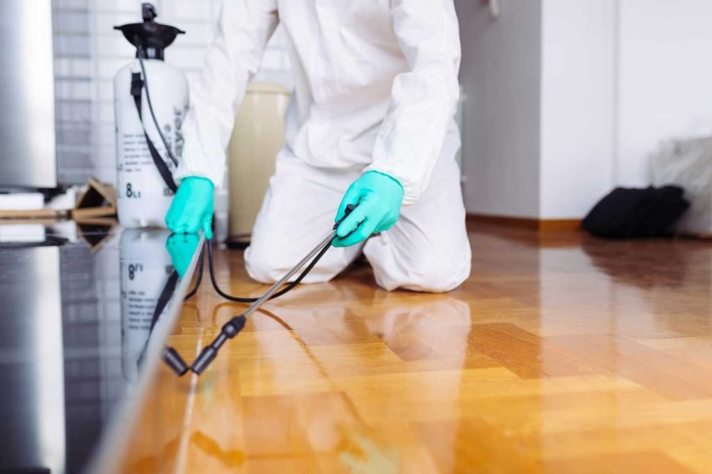 Controlling Pests in the House Controlling Pests in the House