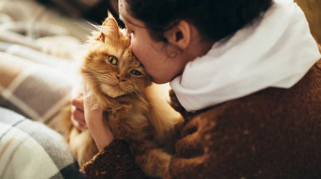 emotional support animal