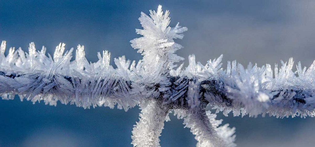 Frost Warning: Five Common Dangers During Winter Frost Warning