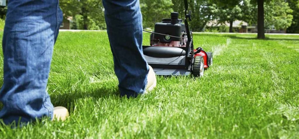 Lawn Care Versus Lawn Maintenance: Why You Need Both    Lawn-Care-Versus-Lawn-Maintenance