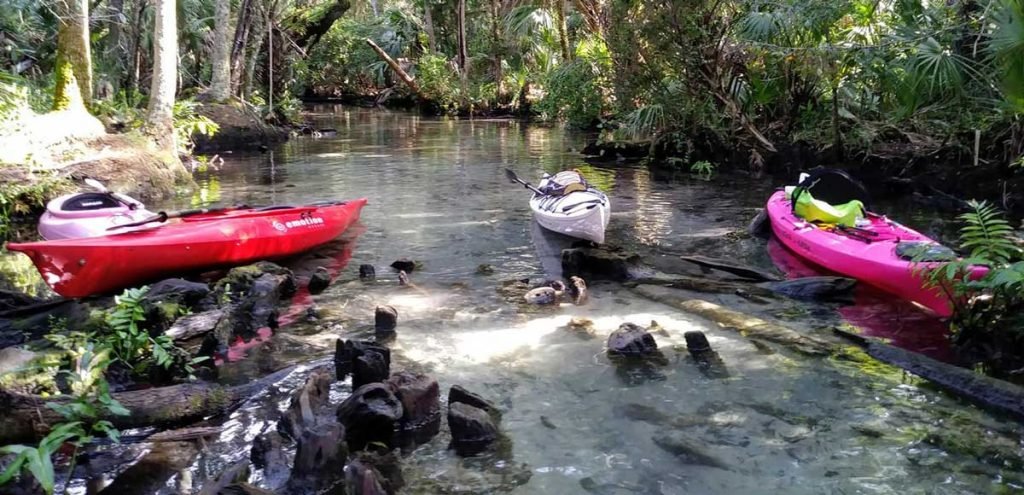 Chassahowitzka River Kayaking: A Guide to the Best Spots Chassahowitzka River Kayaking
