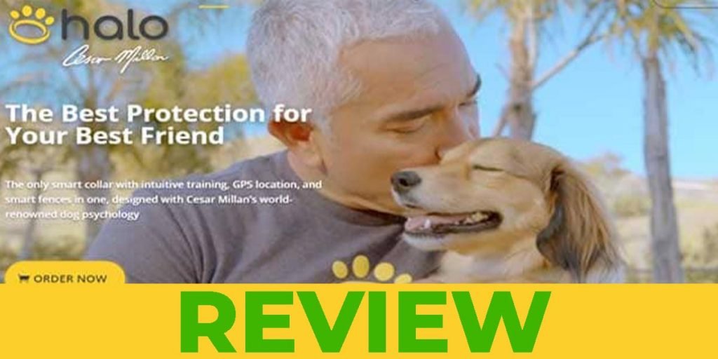 Halo Collar