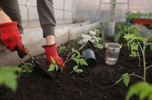 Gardening With These Amazing Tips