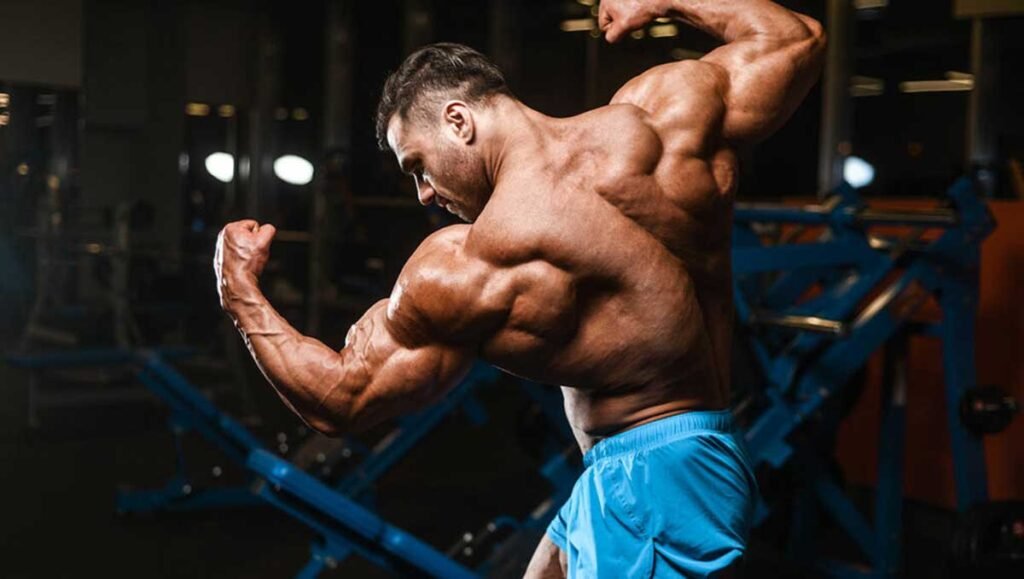 Tips for Determining the Ideal SARM Dosage Determining the Ideal SARM Dosage