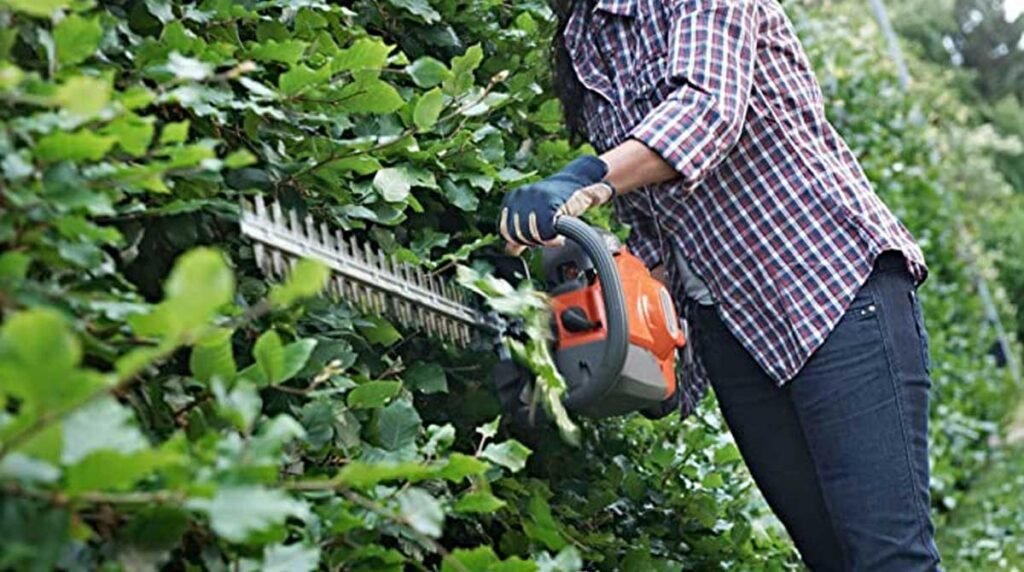 When a Gas Hedge Trimmer Makes More Sense Than Electric