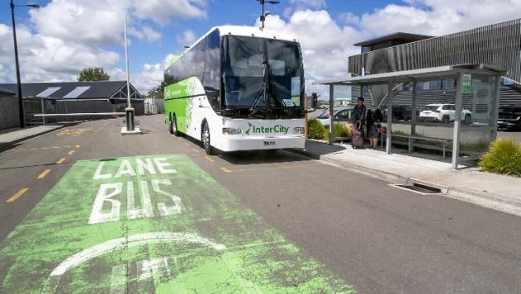 Mistakes That Cause Delays on Intercity Moves in NZ