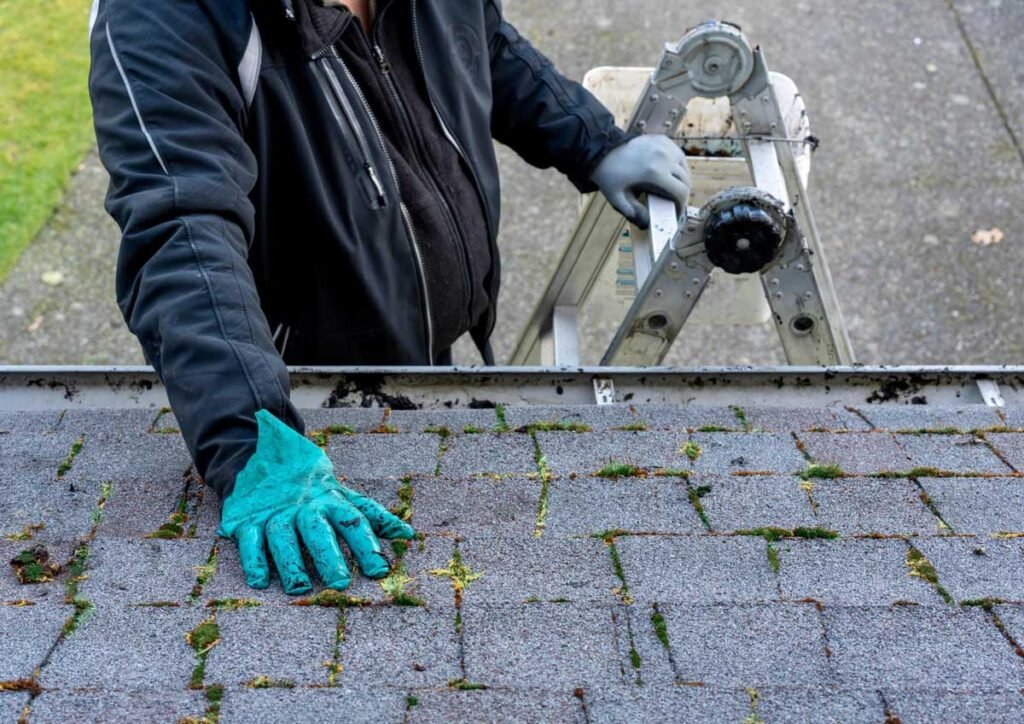 Spring Melt: Why Professional Roof Inspections Are Crucial After Winter Spring Melt